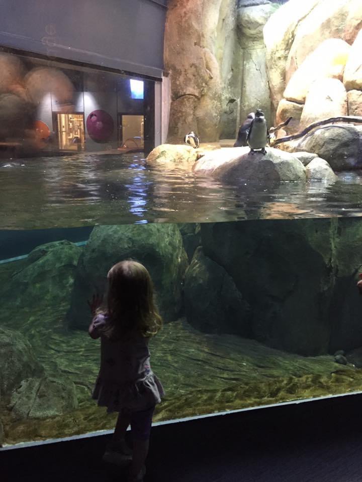 Happyly Greensboro Science Center