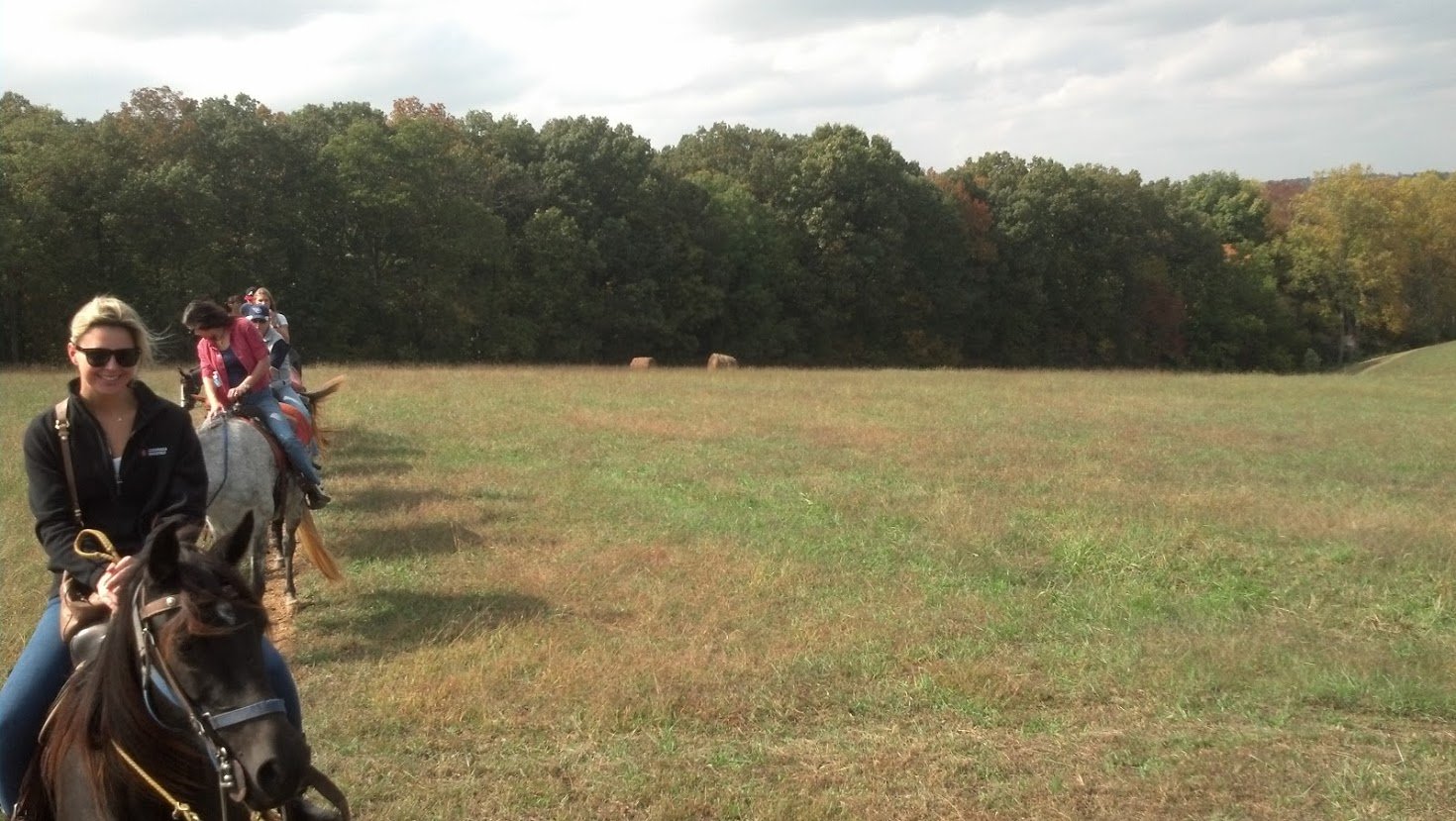 Happyly Natchez Trace Stables