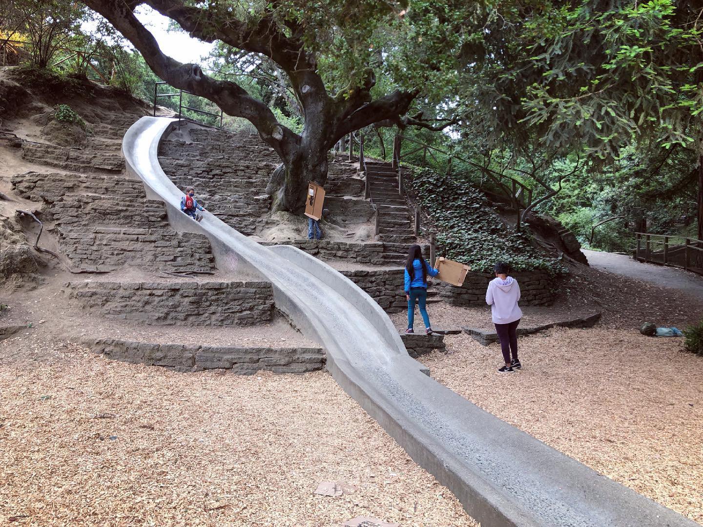 Happyly: Codornices Park and Playgrounds