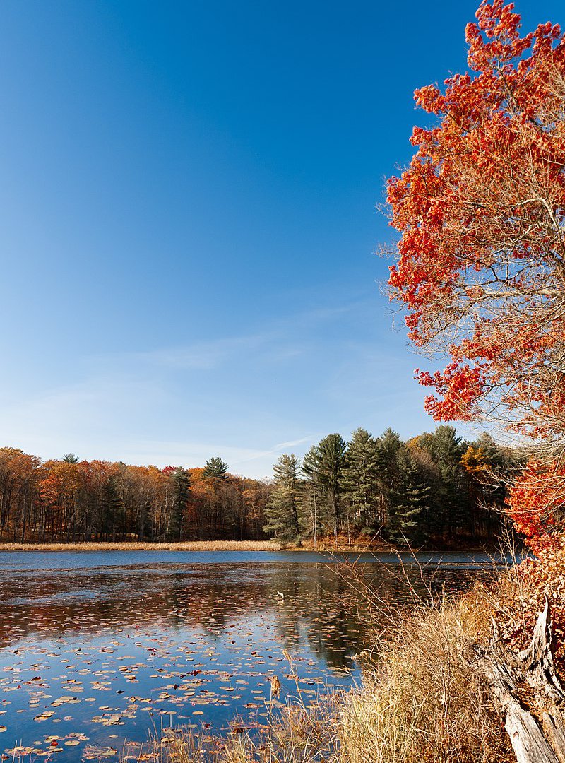 Happyly Chenango Valley State Park