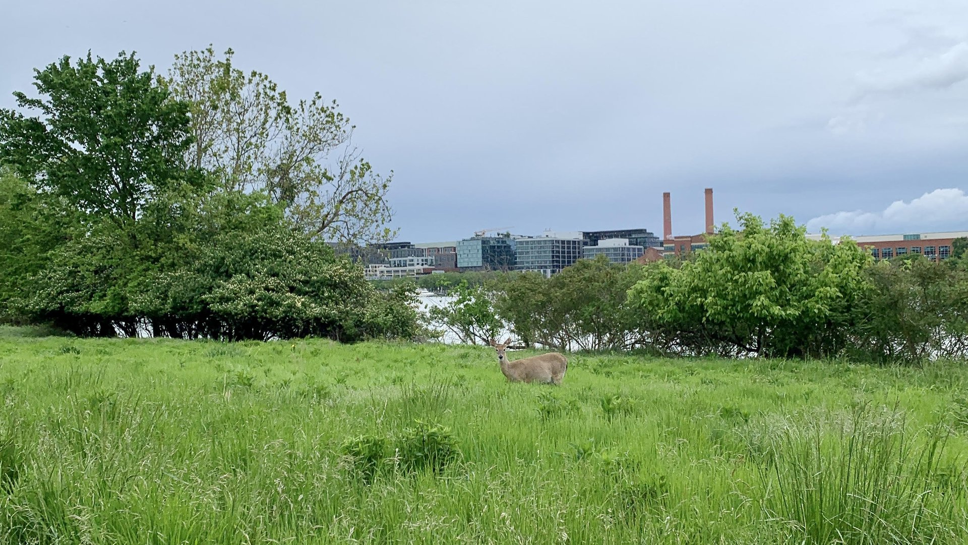 Happyly Anacostia Riverwalk Trail - AnacostiaH .1920x1080 Q85 Crop 