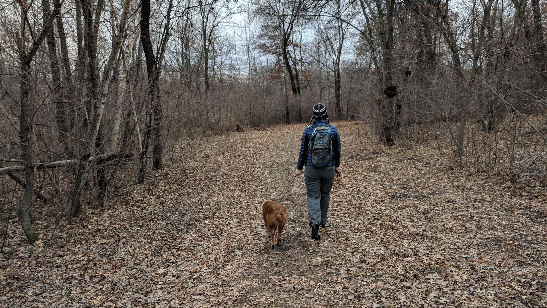 Happyly Bunker Hills Regional Park
