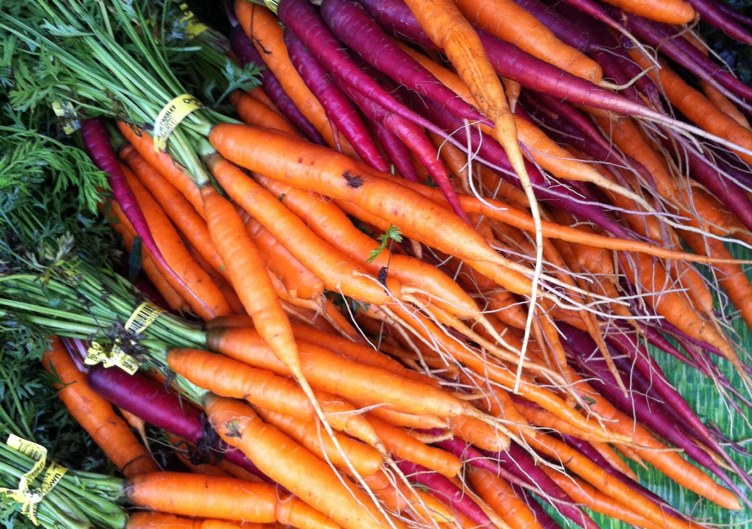 happyly-grand-haven-farmers-market