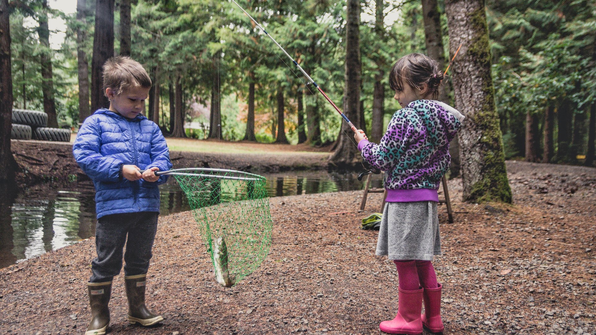 Happyly: Rainbow Trout Farm