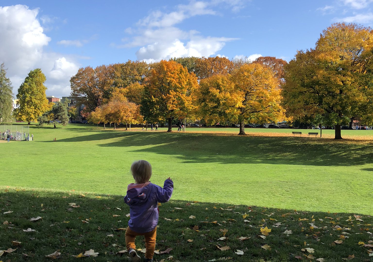 Happyly Kenton Park and Playground