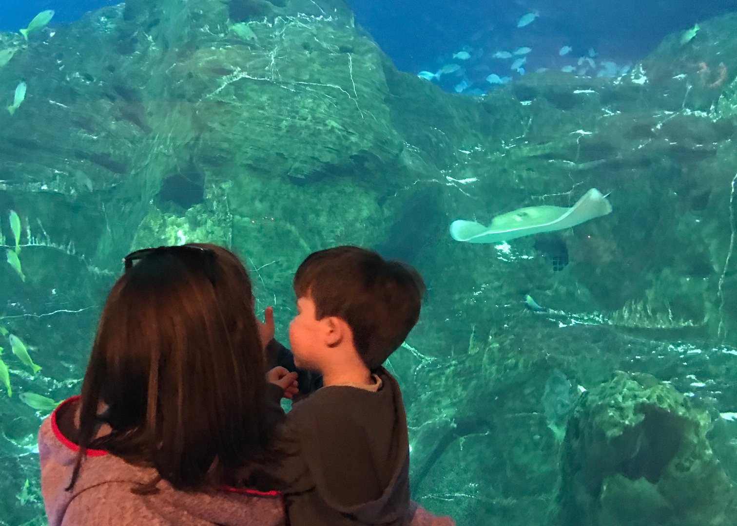 Happyly Adventure Aquarium in Camden