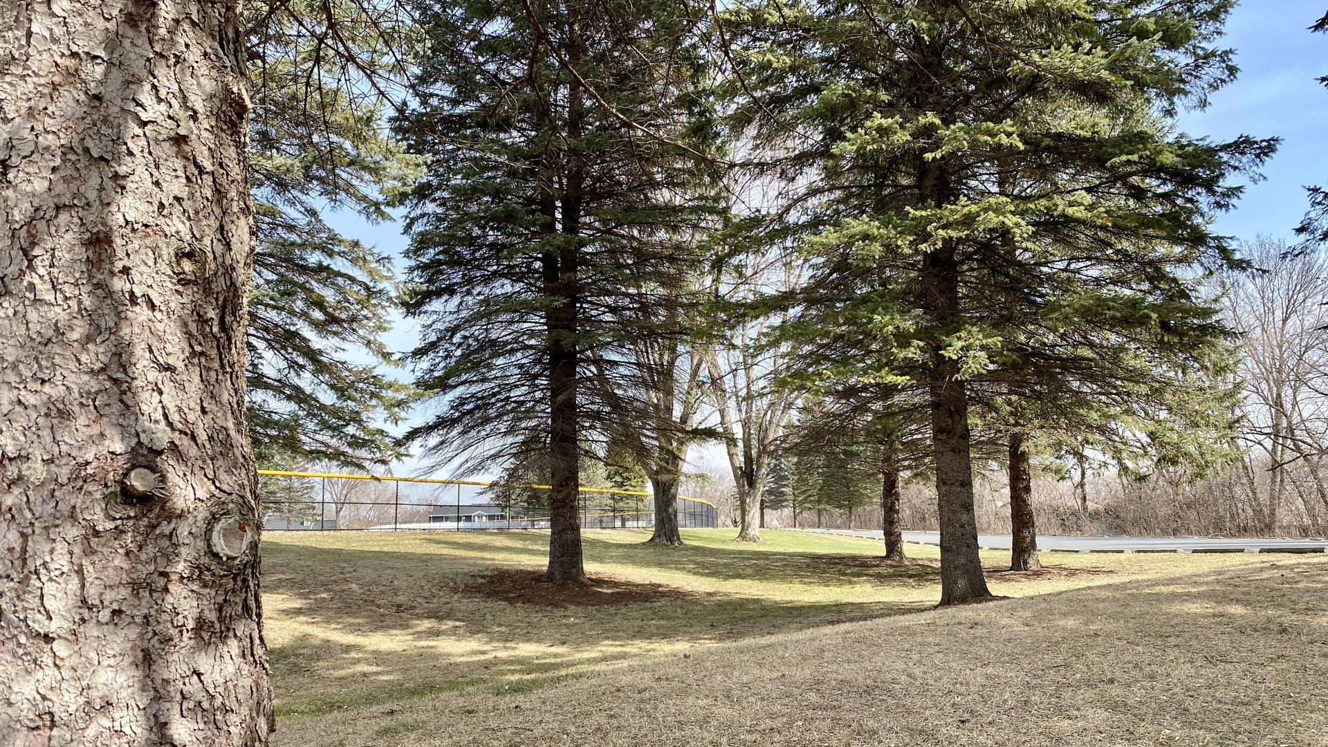 Happyly Hidden Ponds Park and Playground