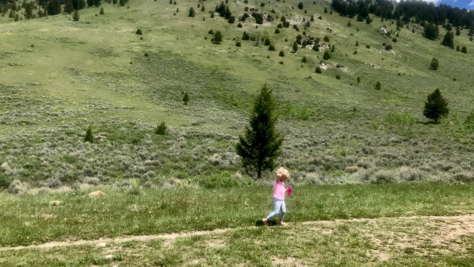 Happyly Cache Creek Trail System