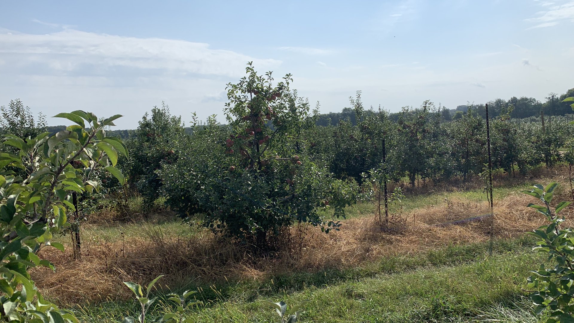 Happyly Garwood Orchards