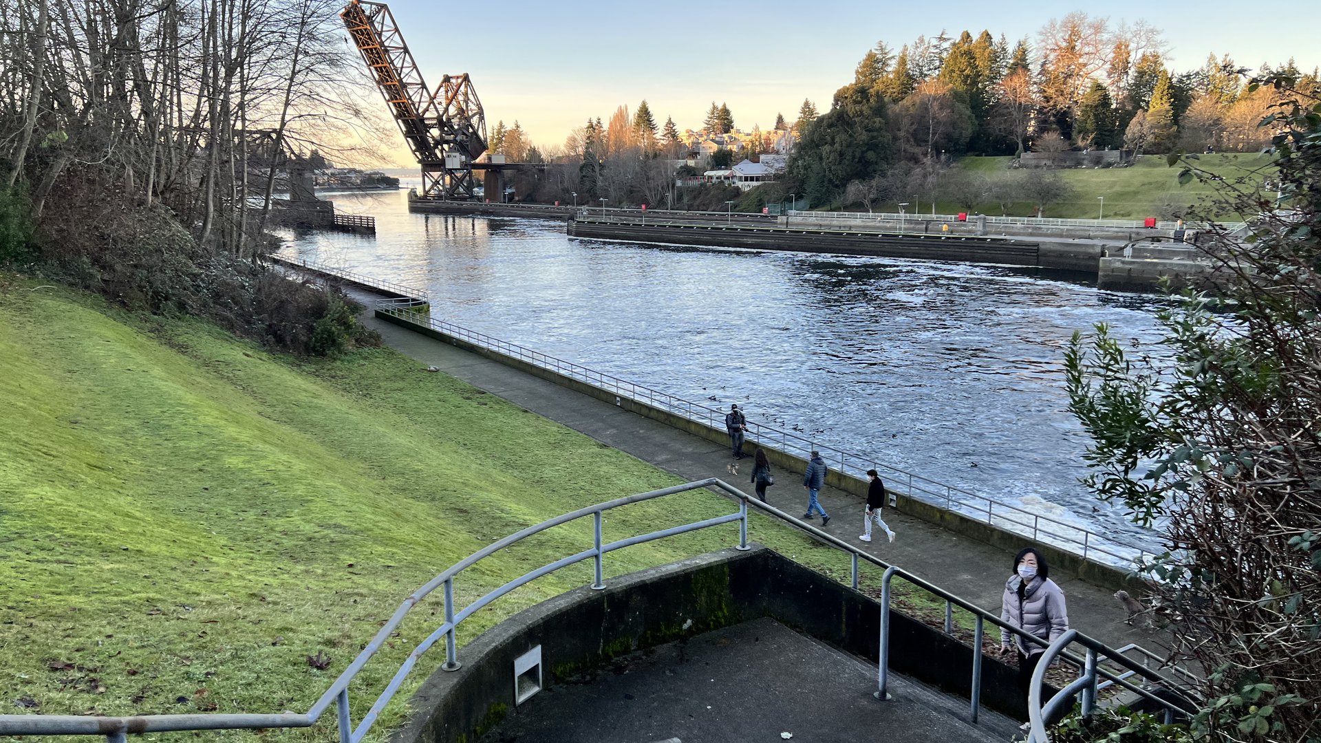 Happyly Commodore Park