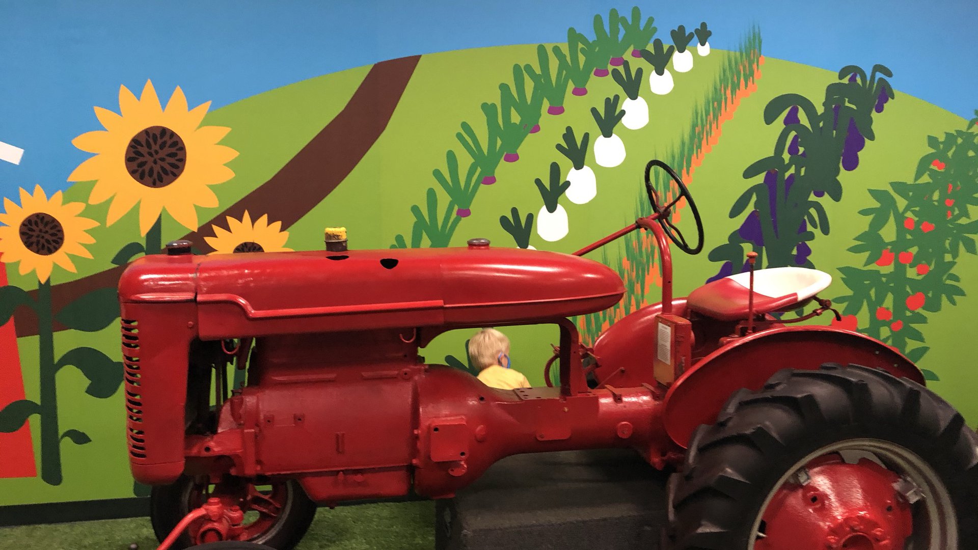 Happyly Children's Museum Chesterfield