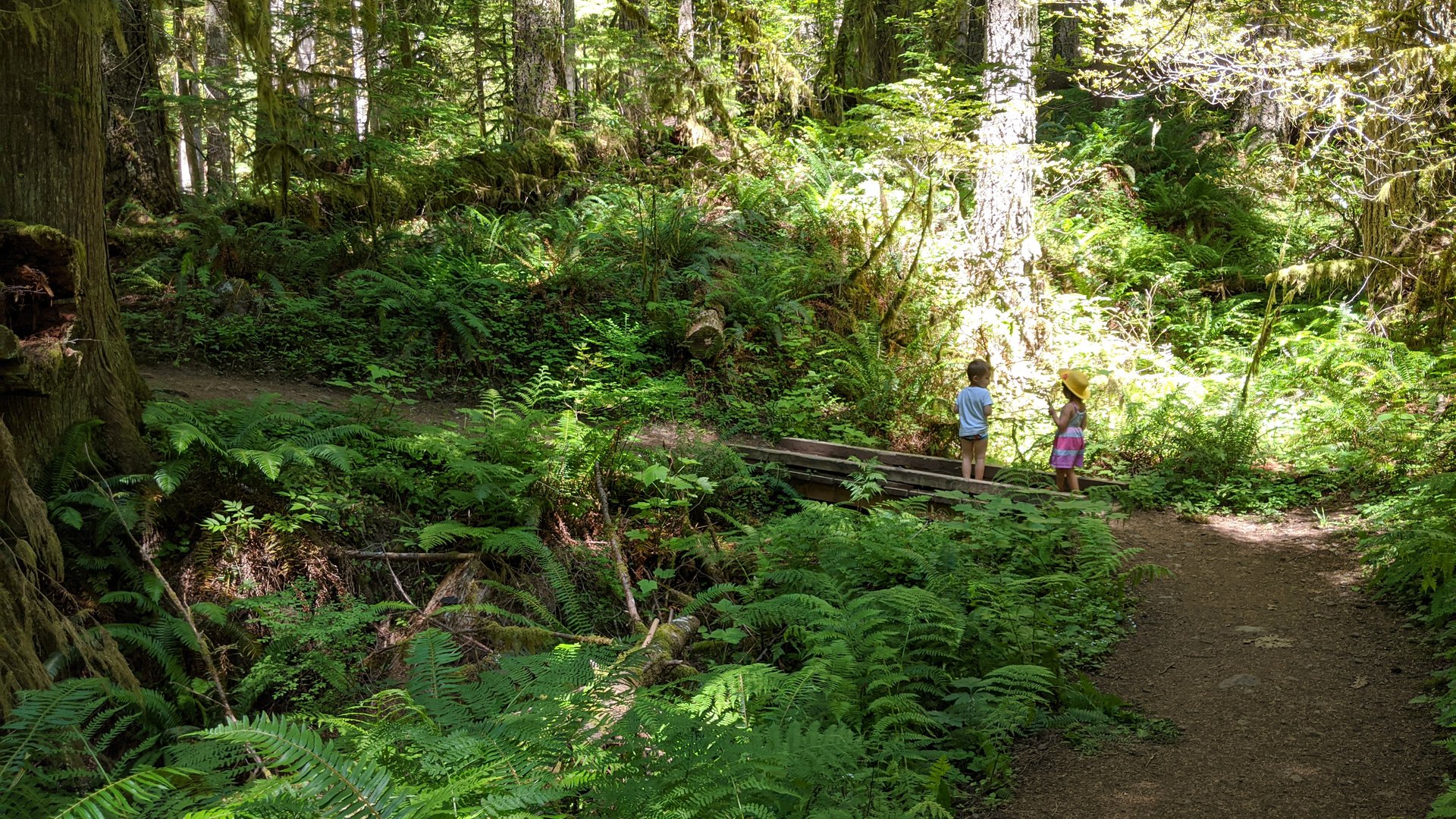 Happyly: Old Salmon River Trail