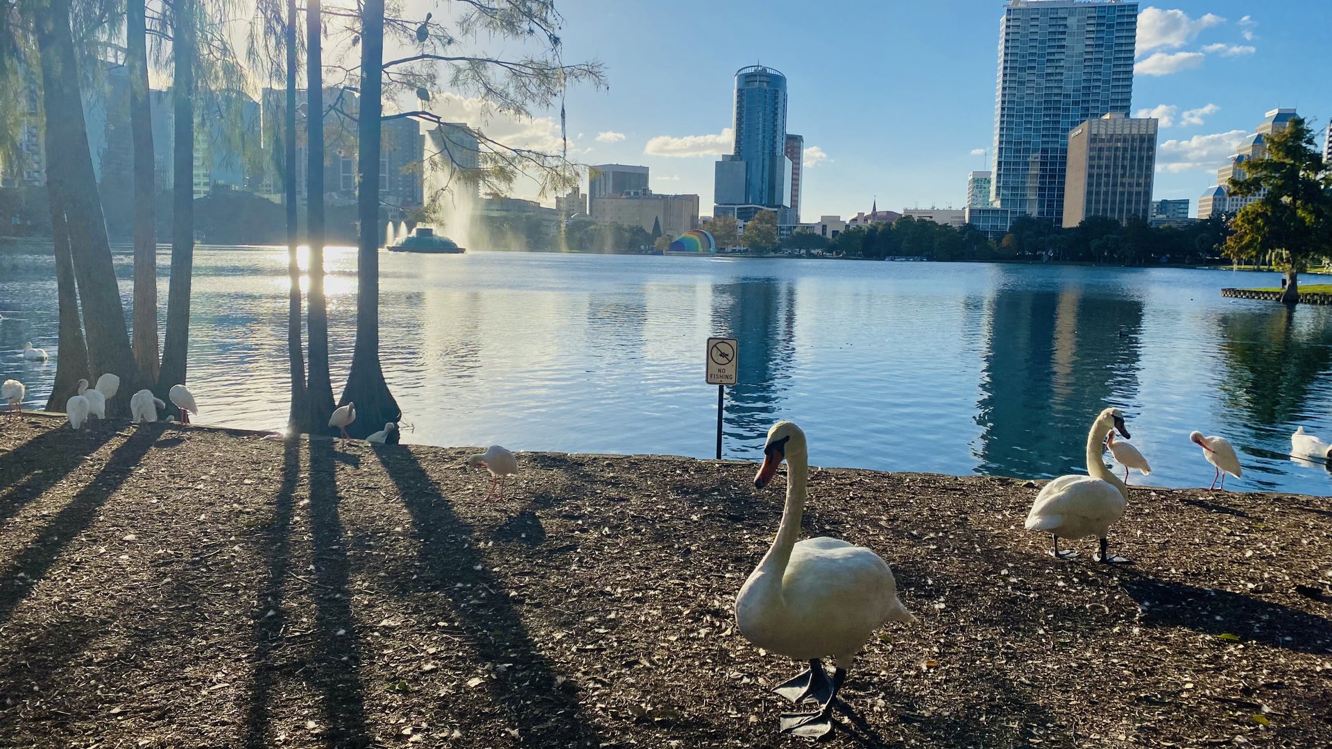 Happyly: Lake Eola Park and Playground