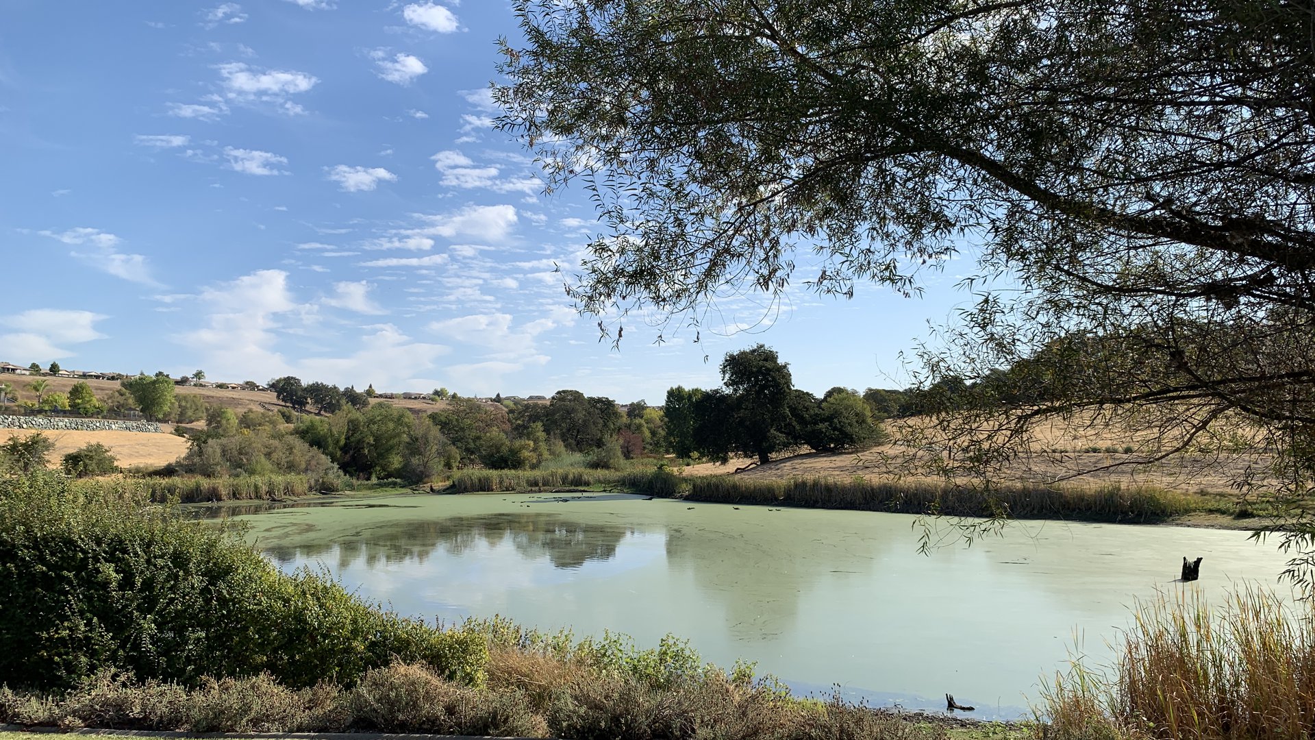 Happyly: Coyote Pond Park and Playground