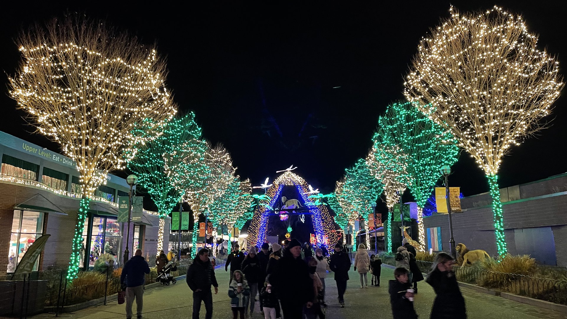 Happyly Lincoln Park Zoo Lights