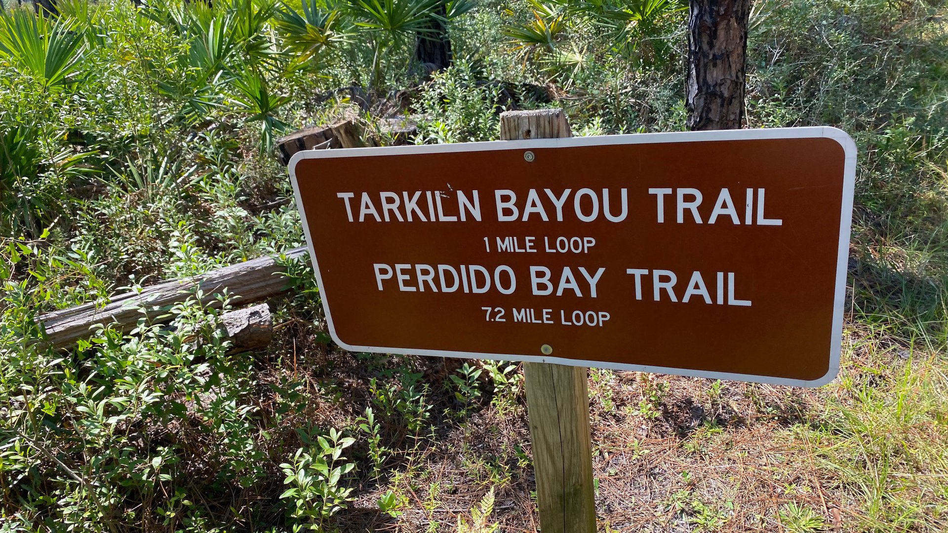 Happyly Tarkiln Bayou at Tarkiln State Park