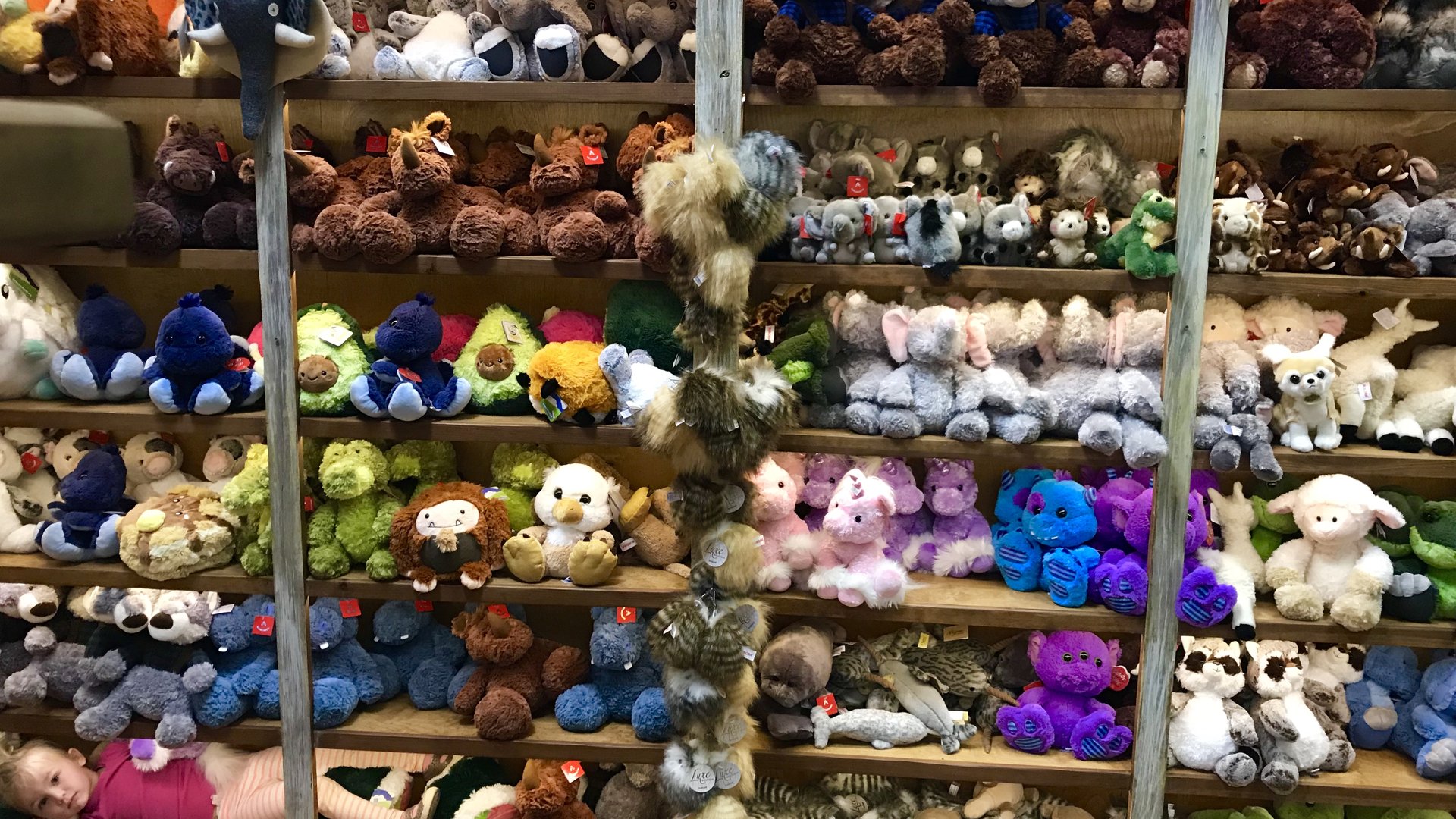 Happyly Jackson Hole Toy Store