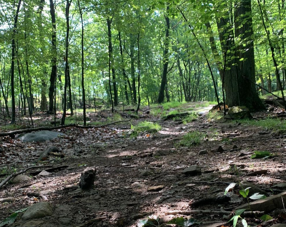 Happyly High Tor State Park