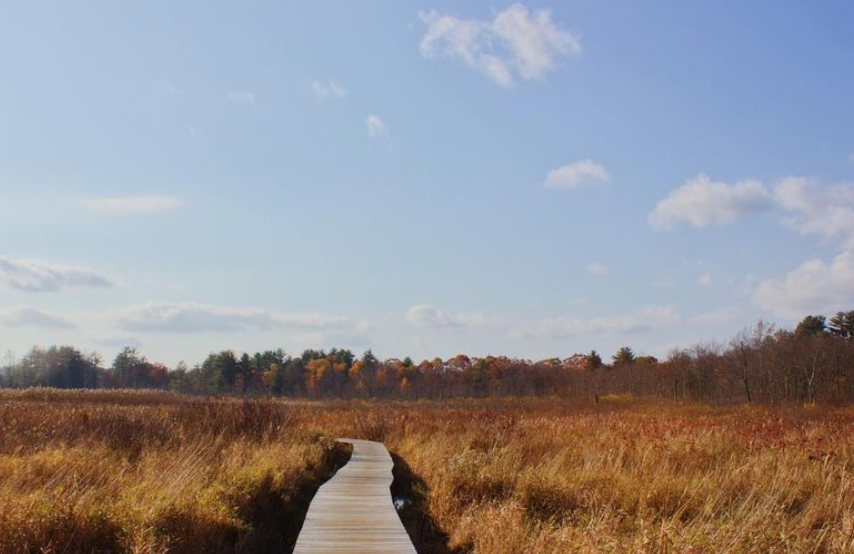 Happyly Little Pond Boardwalk Trail