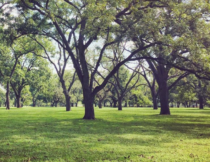 Happyly Berry Springs Park and Preserve