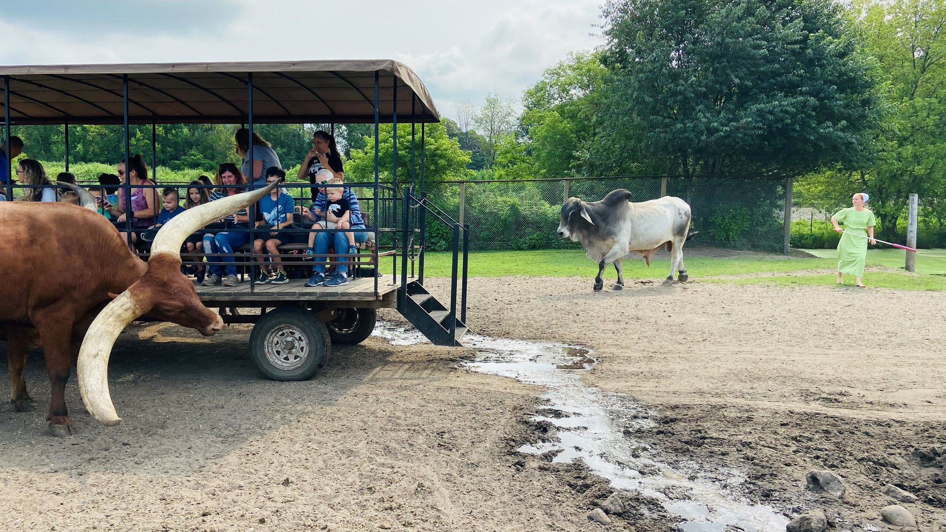 Happyly Dutch Creek Farm Animal Park