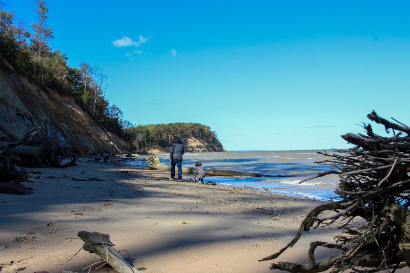 Calvert Cliffs Beach.jpg