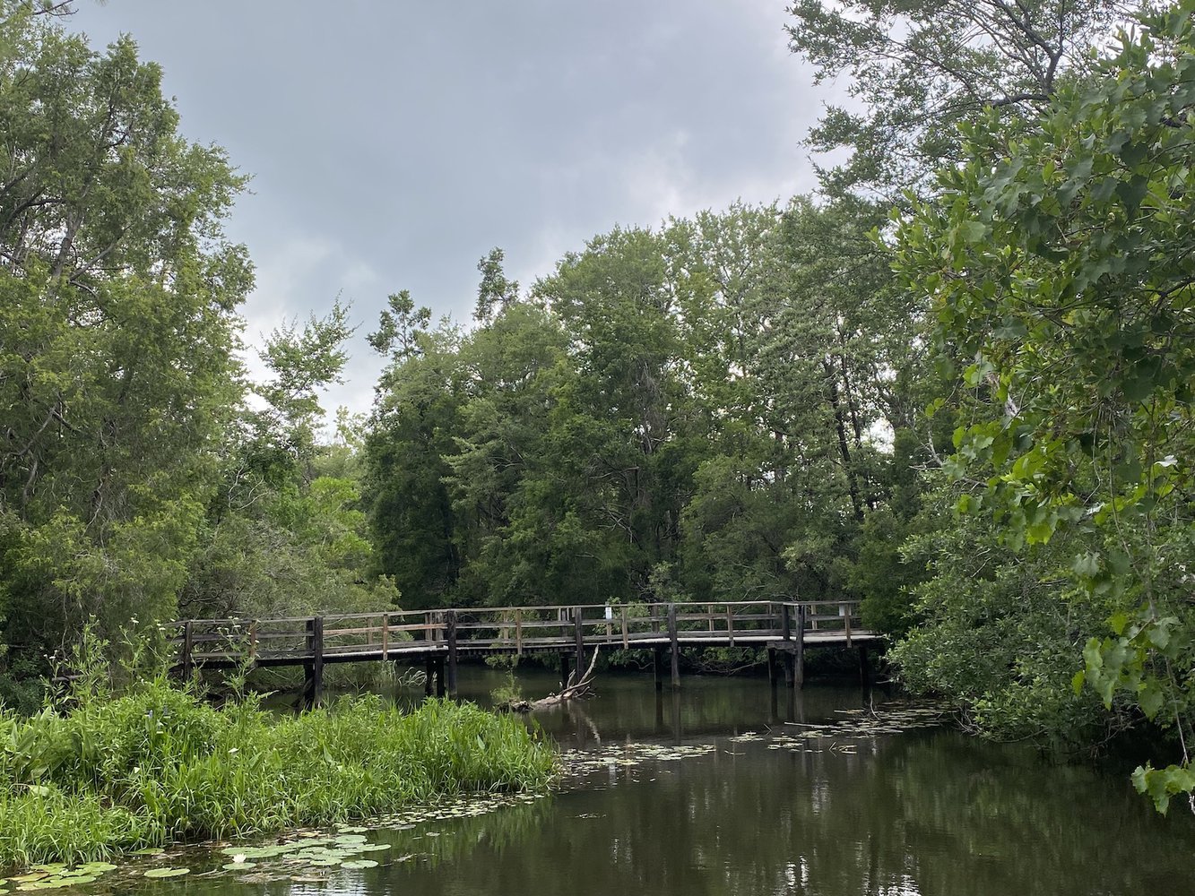 Happyly The Best FamilyFriendly Hikes In and Around Pensacola, FL