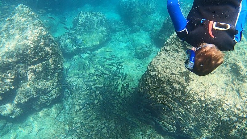 Snorkel Galapagos