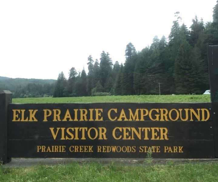 Prairie Creek Redwoods State Park