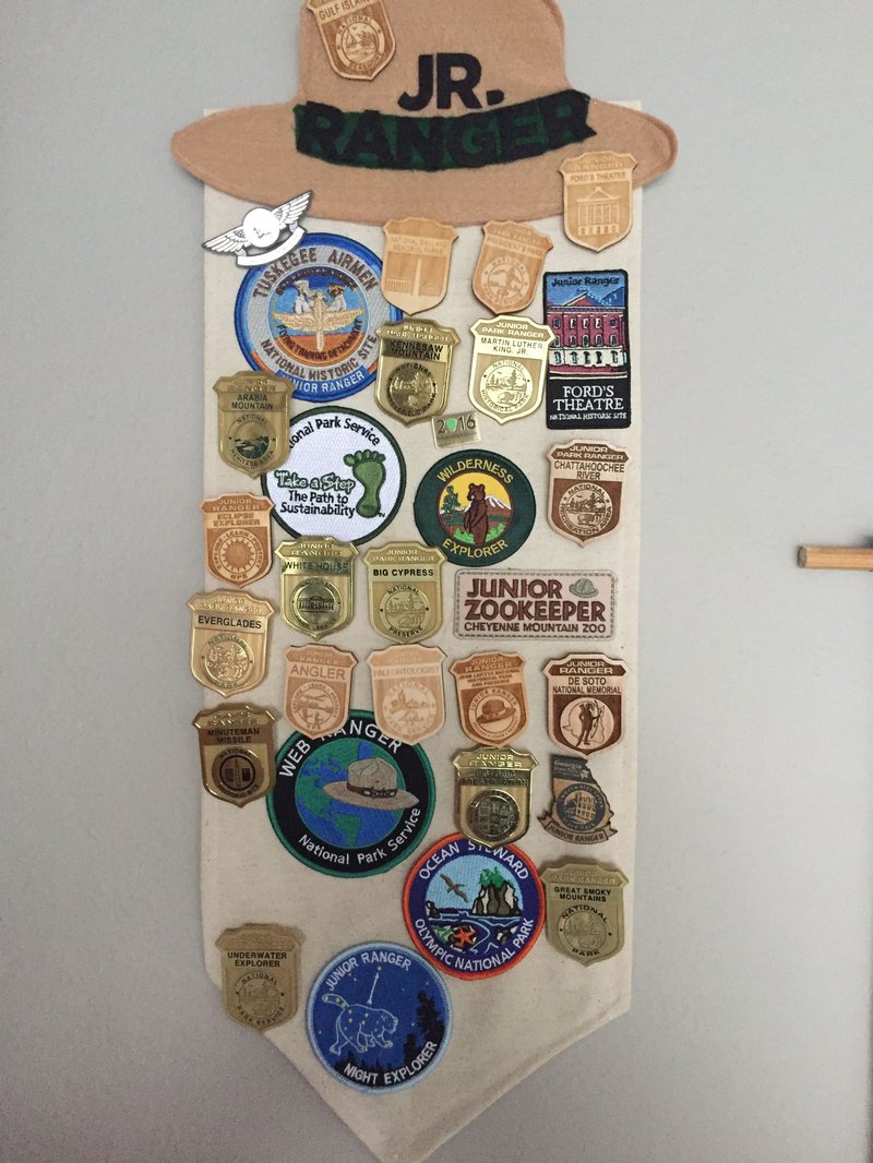 Jr. Ranger Badges Display